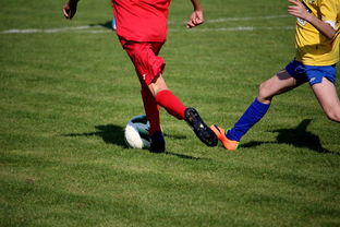 米兰体育网页版登录-中国田径队在世界舞台上表现优异，奖牌不断，中国田径队排名